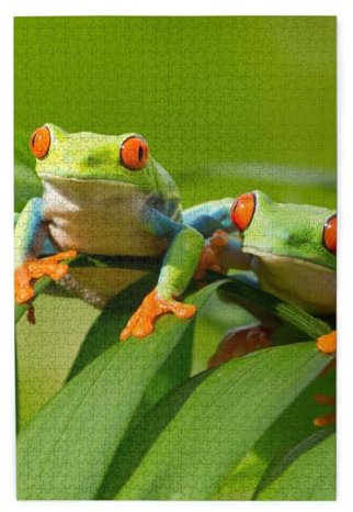 Lustige Frösche buntes Holzpuzzle – herausforderndes Bilder-Puzzle-Spiel für Erwachsene und Puzzle-Enthusiasten – 1000-teiliges interaktives Puzzle