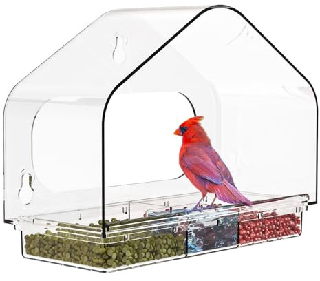 Mangeoire à oiseaux d'extérieur avec fenêtre transparente avec ventouses puissantes - Séparation humide et sèche - Plateau à oiseaux avec ventouses puissantes pour oiseaux sauvages, mésanges, cardinal