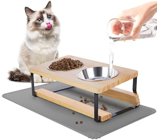 OIENNI Elevated Cat Bowls with Food Mat, 15°Tilted Stand Anti Vomiting Raised Cat Dishes for Food and Water, Feeding Station with 2 Stainless Steel Bowls for Indoor Cats and Puppy