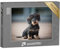 puzzleYOU: Puzzle 1000 Teile „Niedlicher Rauhaar-Zwergdackel-Welpe“ – aus der Puzzle-Kollektion Hunde, Dackel