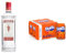 Beefeater 1.5L & Fanta Naranja - Refresco con 8% de zumo de naranja, bajo en calorías