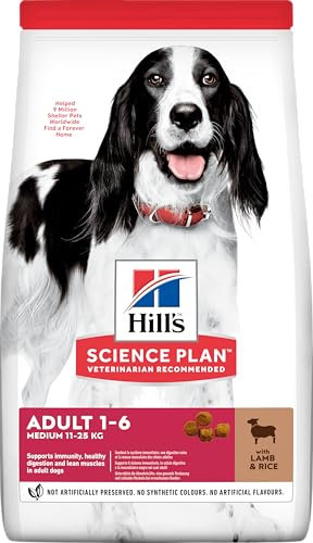 Hills 604276 Dogs Dry Food 2.5 kg Beef