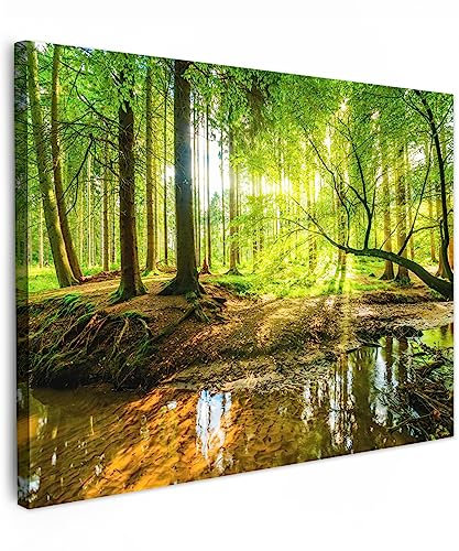 MuchoWow© Leinwandbild 40x30 cm Dekoration Wohnzimmer Bilder Aufhängen Wall Decoration Living Room Wohnungs Deko Moderne Wandbilder Bild Wald - Landschaft - Wasser - Bäume - Grün - Natur