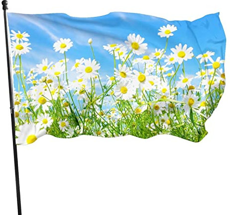Fahnen 5ft x 3ft mit Ösen, Frühlings-Gänseblümchen Flaggen 5 Fuß x 3 Fuß mit Ösen Lichtbeständig Langlebig Hofbanner Haus Hof Veranda Rasenschild im Freien