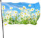 Fahnen 5ft x 3ft mit Ösen, Frühlings-Gänseblümchen Flaggen 5 Fuß x 3 Fuß mit Ösen Lichtbeständig Langlebig Hofbanner Haus Hof Veranda Rasenschild im Freien