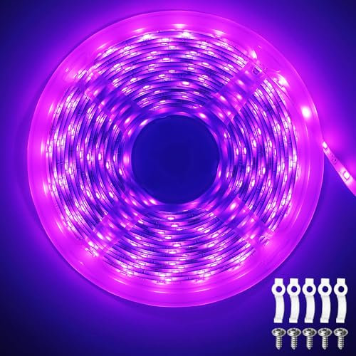 ShineBurky Striscia LED 5 Metri 12V Rosa, Luci LED Striscia Luminoso IP65 Impermeabile 300LEDs Strisce LED Flessibili per Interno Esterno Cucina Hotel Natale Decorazione (Senza Alimentatore)
