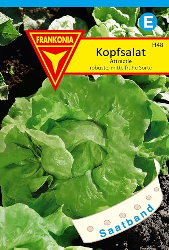 FRANKONIA® Kopfsalat, Attraktion Saatband - Gemüse-Samen Saatgut Salat-Samen Samen (Lactuca sativa)