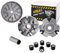 Variateur compatibles avec Piaggio Skipper 125/150 2T, SKR 125/150 (compatibles avec Piaggio 125 cm³)