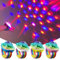Mini Discokugel Licht,4 Stück Discokugel Armband,Disco Ball Licht,Discokugel Kinder,Bühnenbeleuchtung Effektlicht,Disco Licht,Musikgesteuert Disco Party Lichter,für Club,KTV,Party
