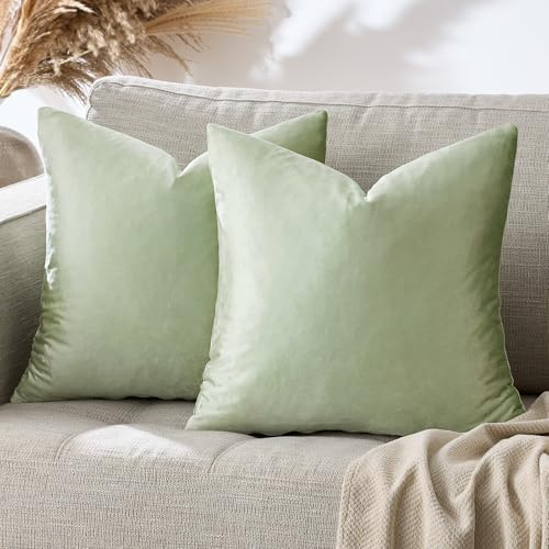 GIGIZAZA Juego de 2 fundas de cojín cuadradas decorativas de terciopelo verde salvia de 60 x 60 cm para sofá, sala de estar, dormitorio, 24 x 24 pulgadas