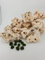 SAHAWA 5 Kg Premium weißes Lochgestein Größe S je1-2 Kg ca. 4-5 Steine+ 10 kleine Mooskugeln 1-2 cm Aquarium Dekosteine Kalksteine