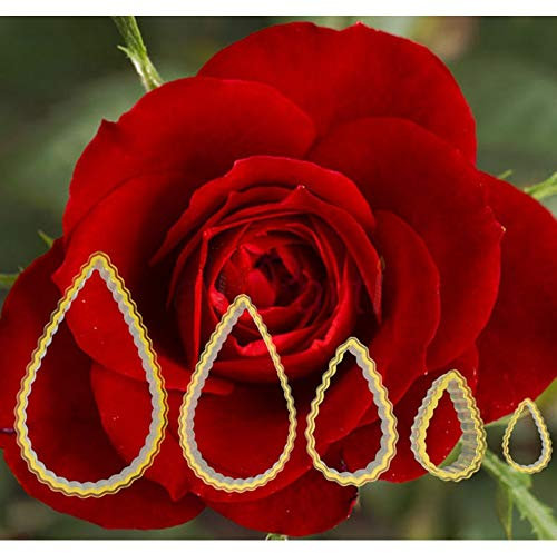 Rosen Blumen Ausstecher Set