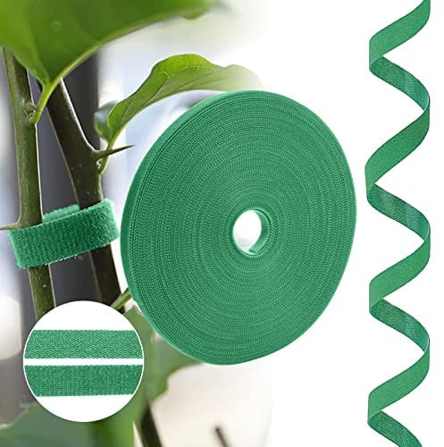 URAQT Nastro per Fascette per Piante, 1cm x 20m Fascette per Piante Autoadesive, Fascette per Cavi per Viti, Pomodori, Frutta e Fiori, Sistema di Cablaggio Domestico, Tutore Piante