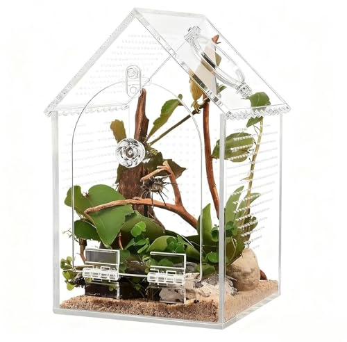 TYUKXJH Accesorios de araña saltarina, tanque acrílico a prueba de escapes, recinto de araña acrílica, para entusiastas de la familia, mascotas, reptiles, animales, interiores y hogar