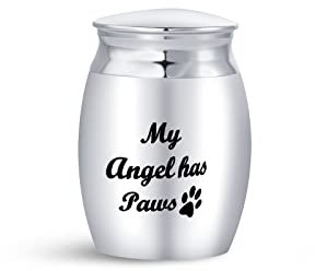 LSxAB Mini-Urne für Hunde, Asche, Haustiere, kleine Beerdigung, Urnen, Glas, My Angel Has Pfoten, dekoratives Andenken
