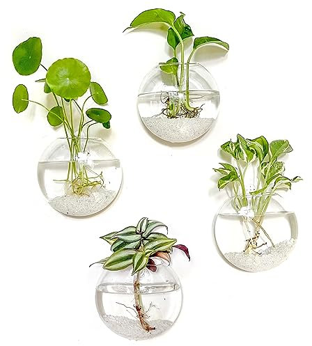 Kingbuy Wall Hanging Glass Planter Propagation Station - 4 Pack Oblate Globe Wall-Mounted Vases for Indoor Hydroponic Air Plants Bathroom Living Room Office Decor Gift for Women, Mom, Plants Lovers