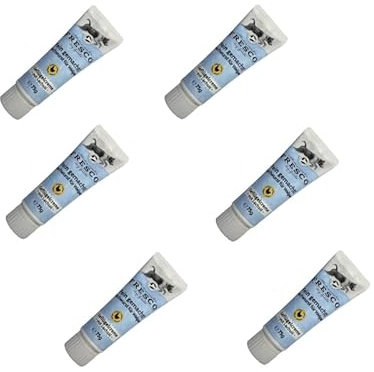 Fresco Fein Gemacht! Geflügelcreme mit Lachsöl | 6er Pack | 6 x 75 g | Naschwurst für Welpen | Kann unterstützend Sein für den empfindlichen Welpenmagen | Kann eine optimale Ergänzung Sein