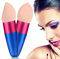 Glamza Powder Puff MakeUp Blender Brush With Handle Face Concealer Blending Sponge