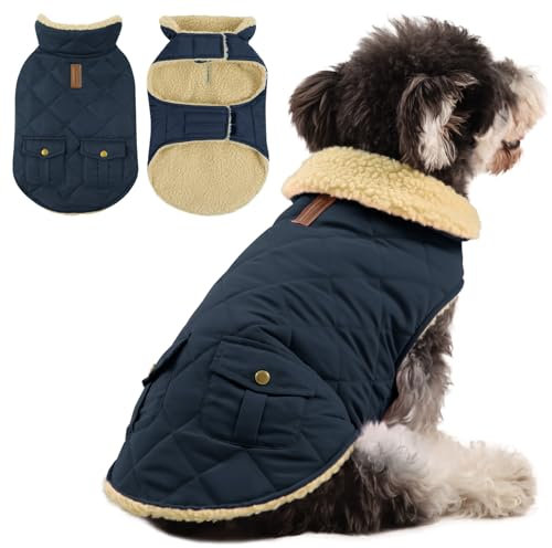 Queenmore Wintermantel Hund Wasserdicht Hundemantel Winter Kleine Hunde Warme Fleecemantel Hundejacke Quilten Hundebekleidung Hundepullover Für Dackel Chihuahua Pudel Bulldogge Beagle, Blau, S