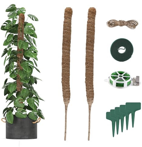 Yukaiwn Monstera Rankhilfe, 2 Sttk Moosstab Pflanzenstab Monstera Stab, 60cm Kokos Biegsame Pflanzstab Monstera für Garten Kletterpflanzen Pflanzenunterstützung Kokosstab Pflanzenstütze