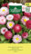 AGRONOM | Semi di margherita | Semi di fiori | Semi di piante | Fiori perenni, alti 10 cm | I fiori hanno un diametro di 3-4 cm | Semi da giardino | 1 confezione