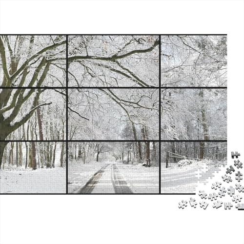 David Hockney Puzzle Impossible Peinture, Puzzles en Bois Tableaux célèbres du Monde, Casse-tête Museums, Jeux D'adresse pour Toute La Famille, Cadeau pour Les Amis Ou Les Amants 1000 Pcs