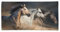 Tex Family Strandtuch aus Frottee I DREI Pferde, groß, 90 x 170 cm
