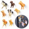 8 Dog Magnets- Bring The Cute and Funny Half of The Dog's Body Magnet to Your Fridge with These Adorable and Educational Fridge Magnets