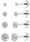 CASSIECA 4 Paar G23 Titan Ohrringe für Damen Herren Hypoallergen Ohrringe Medizinische Ohrstecker Zirkonia Helix Piercings Silber Titan Ohrringe 2/3/4/5mm
