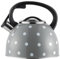 Bouilloire de cuisinière Bouilloire à thé Bouilloire Bouilloire de camping Théière en acier inoxydable Bouilloire à thé rouge Réchaud Cafetière Théière en acier inoxydable pour cuisinière à gaz