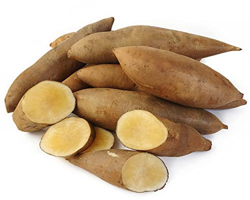 Yacon Samen - zimmerpflanzen pflanztopf - Seltene Pflanzen - hochbeet balkon deko alte sorten saatgut garden obstpflanzen topfpflanzen obstsamen gartenpflanzen bonsai samen Yacon 150pcs