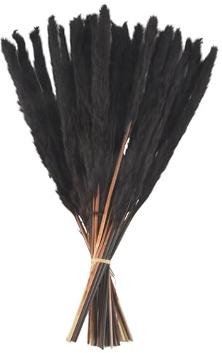 Sirxlevcy 30Pcs Black Pampas Grass, 17 Inch Natural Dried Small Stems for Home Wedding Decor Flower Arrangements,Decor