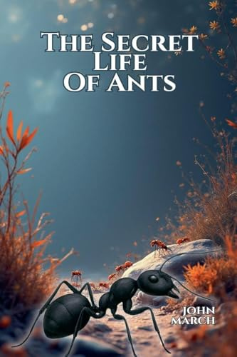 The Secret Life of Ants