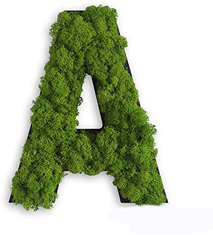 styleGREEN Piktogramm: Buchstabe A Islandmoos