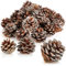 COM-FOUR® 30x Tannenzapfen mit silberfarbenem Glitter - Pinienzapfen als Weihnachtsdekoration - Zapfen Deko mit Glitzer - Streudeko - Bastel Set - Weihnachtsschmuck (30 Stück - silberfarben)