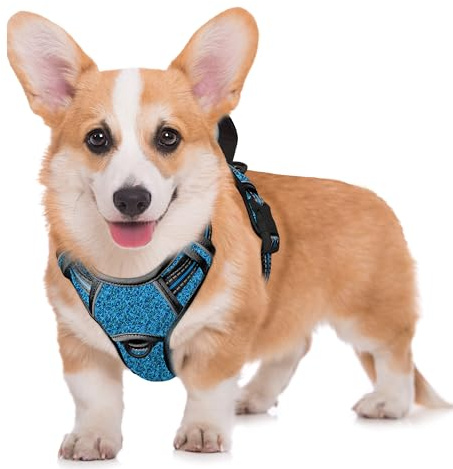 BARKBAY No Pull Dog Harness Front Clip Heavy Duty Reflective Easy Control Handle for Large Dog Walking with ID tag Pocket(Blue/Black,M)