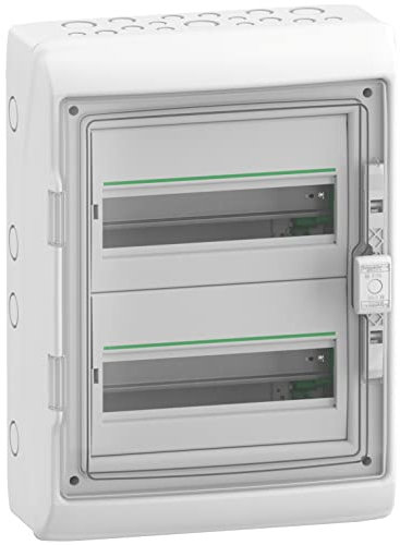 Schneider Electric - RESI9 - coffret 12 modules - 2R - IP65 - compatible XE - R9H12652