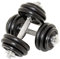 MAXXIVA® Kurzhantel-Set Gusseisen 2x15 kg 12 Gewichtsscheiben Sternverschluss Hantelset für Kraftsport Muskelaufbau Workouts Bodybuilding Reha 30 kg