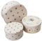SiXsigma Sports Set of 3 Round Nesting Cake Storage Tins - Airtight Containers for Cakes, Biscuits & Sweets Large, Medium & Small Sizes - Perfect Mothers Day Gifts For Kitchen (MT-BEE-CTS)