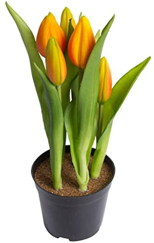 Nova-Nature künstliches Tulpenarrangement mit 5 Blütenknospen im schwarzen Kunststofftopf real Touch (orange), 12 x 23 cm