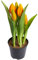 Nova-Nature künstliches Tulpenarrangement mit 5 Blütenknospen im schwarzen Kunststofftopf real Touch (orange), 12 x 23 cm
