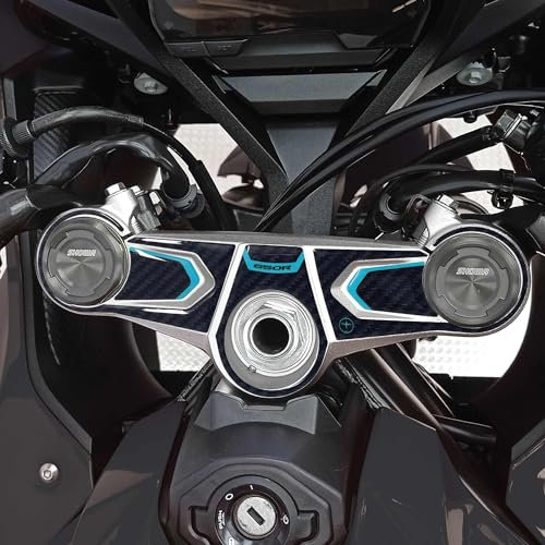 labelbike - Motorrad-Lenkgabelplatten-Schutzaufkleber kompatibel mit Honda CBR 650 r - Hellblau