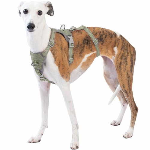 Huntboo Sicherheitsgeschirr Hund Ausbruchsicher, Panikgeschirr für Hunde, Anti Zug Hundegeschirr, Reflektierend, Verstellbare, Leichte Weste für kleine, mittelgroße und große Haustiere (Armeegrün,S)
