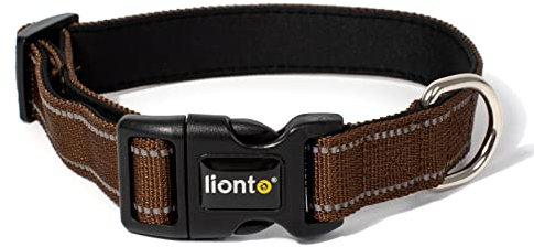 lionto Hundehalsband aus strapazierfähigem Nylon, Größe M, weiches gepolstertes Halsband für Hunde, 360° reflektierend & Klickverschluss, Metallring & Anpassung durch stufenlosen Schieber, braun