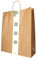 DeinPack Umweltschonende Papier Tragetaschen groß I Papiertüten Geschenktüten Papiertragetaschen biologisch abbaubar, kompostierbar I 250 x braune Papier Tüten 40 x 32 x 12 cm