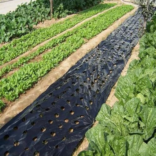 Garten-Mulchlösung PE-Bodenabdeckung mit Schnittlöchern für einfaches Pflanzen von Gemüse (10 m x 0,95 m)