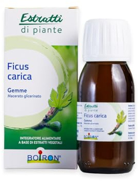 Estratti di Piante Ficus Carica - Macerato Glicerinato di Gemme 60 ml | integratore alimentare, gemme di fico, ingredienti 100% origine naturale, con bicchiere dosatore