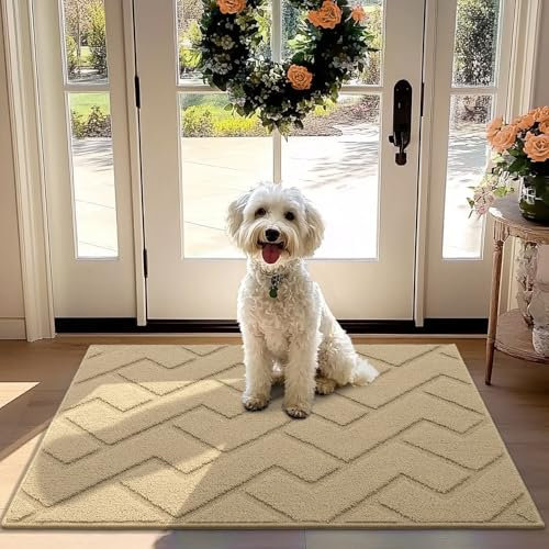 Biscpro Fußmatte Innen Außen Waschbar eingangsteppich innen Schmutzfangmatte rutschfest,Türmatte Innen Teppich für Eingang, Patio, Flur, Garten, Innen und Außen (Beige, 80 x 120 cm)