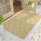 Biscpro Fußmatte Innen Außen Waschbar eingangsteppich innen Schmutzfangmatte rutschfest,Türmatte Innen Teppich für Eingang, Patio, Flur, Garten, Innen und Außen (Beige, 80 x 120 cm)
