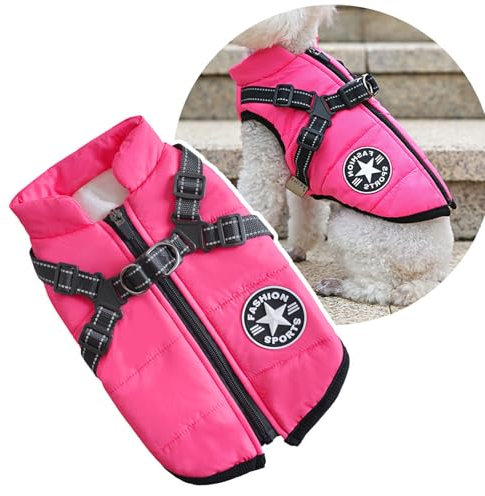Veste avec harnais, gilet de sport d'extérieur pour chien, manteau d'hiver chaud pour chats, chiots et petits chiens, (rose)